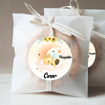 Ayda Uyuyan Arı Temalı Sticker
