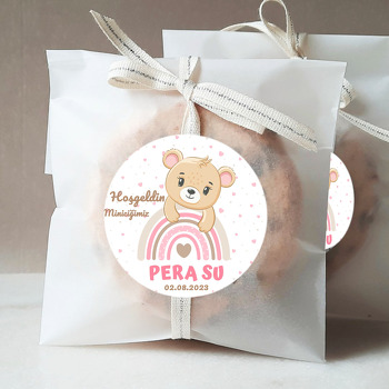 Ayıcık ile Pembe Gökkuşağı Temalı Sticker