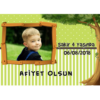 Shrek Temalı Doğum Günü Amerikan Servis