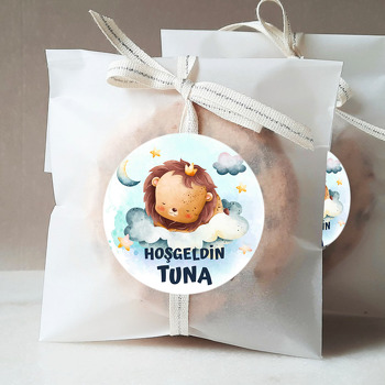Bulutlarda Uyuyan Aslan Yavrusu Temalı Sticker