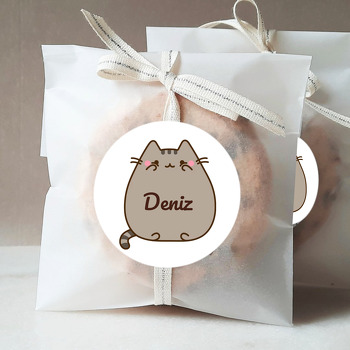 Cat Pusheen Temalı Sticker