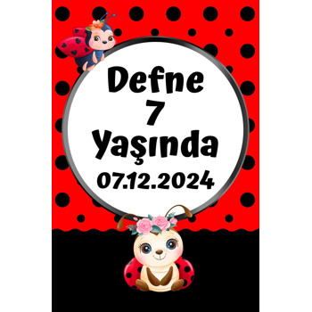 Çiçekli Uğur Böceği Temalı Doğum Günü Afiş