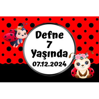 Çiçekli Uğur Böceği Temalı Doğum Günü Afiş