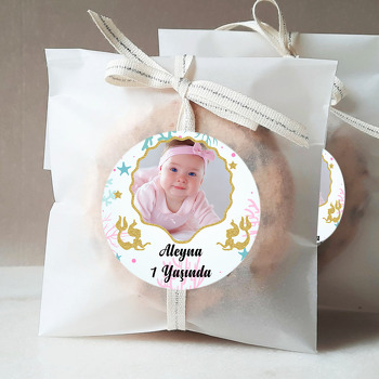 Deniz Kabuğu Temalı Sticker