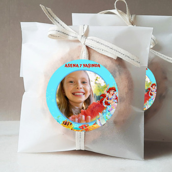 Deniz Kızı Ariel Temalı Sticker