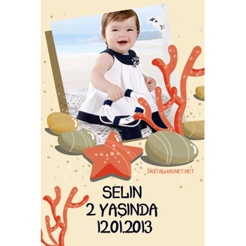 Deniz Yıldızı Temalı Magnet