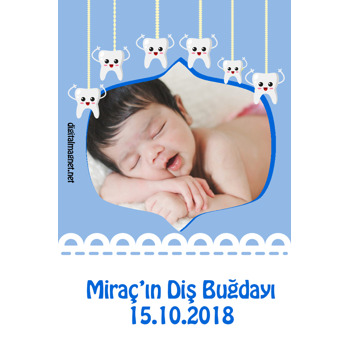 Erkek Bebekler Diş Partili Diş Buğdayı Magnet