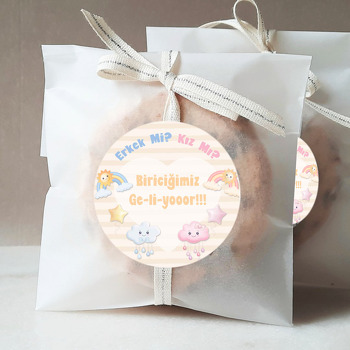 Gökkuşağı ile Cinsiyet Partisi Temalı Sticker