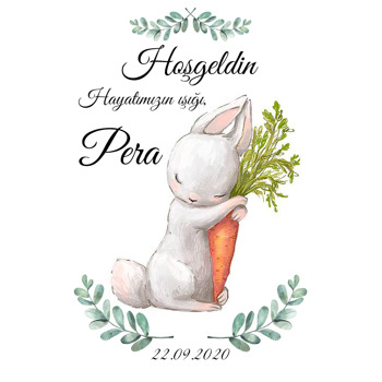 Havuçlu Sevimli Tavşan Temalı Doğum Günü Afiş