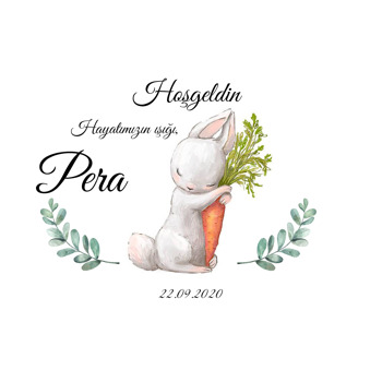 Havuçlu Sevimli Tavşan Temalı Doğum Günü Afiş