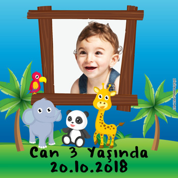 Hayvanlar Alemi  Temalı Kare Parti Afiş