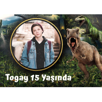 Jurassic Park Dinozorlar Temalı Doğum Günü Amerikan Servis