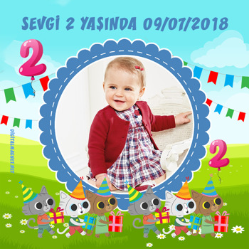 Kedi Temalı 2 Yaş Doğum Günü   Kare Parti Afiş