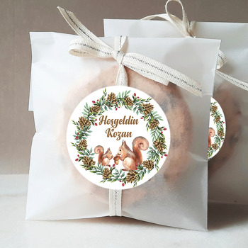 Kış Çerçeveli Sincap Temalı Hoşgeldin Bebek Sticker