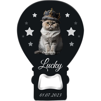 Kral Taçlı Asil Kedi Temalı Balon Ahşap Magnet 