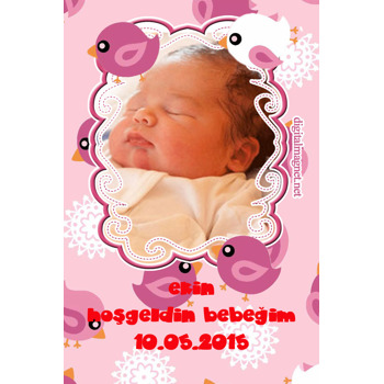 Kuş Temalı Hoşgeldin Bebek Magnet
