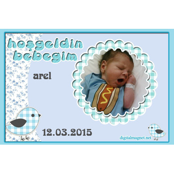 Kuşlu Hoşgeldin Bebek Magnet