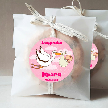 Leylekte Bebek ile Pembe Fon Temalı Sticker