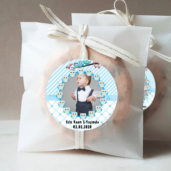 Mavi Baykuş Temalı Resimli Sticker