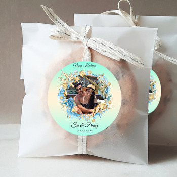 Mint Yeşili Fonda Deniz Kabuğu Çerçeve Temalı Sticker