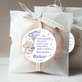 Mor Balonlu Bebek Fil Temalı Sticker