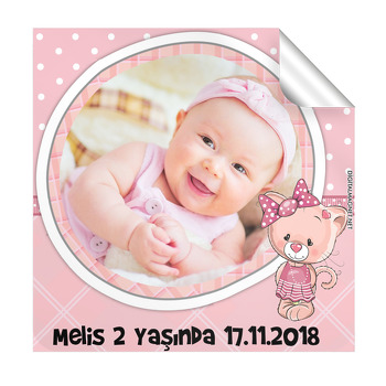 Pembe Ayı Temalı Doğum Günü