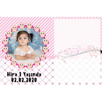 Pembe Baykuş Temalı Magnet Notluk