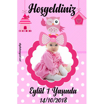 Pembe Baykuşlar 2 Temalı Doğum Günü Afiş