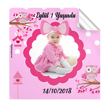 Pembe Baykuşlar 2 Temalı Doğum Günü  Kare Etiket