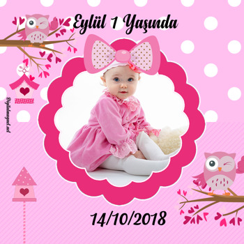 Pembe Baykuşlar 2 Temalı Doğum Günü   Kare Parti Afiş