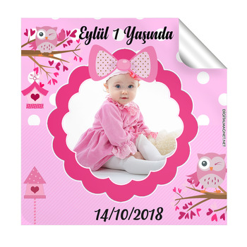 Pembe Baykuşlar Temalı 2 Kare Etiket