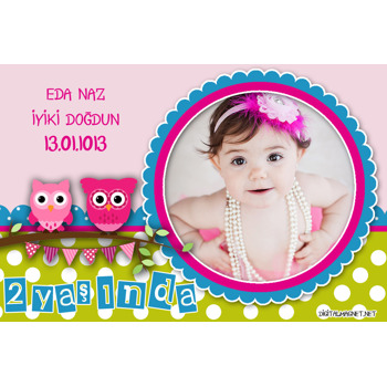 Pembe Baykuşlu Magnet