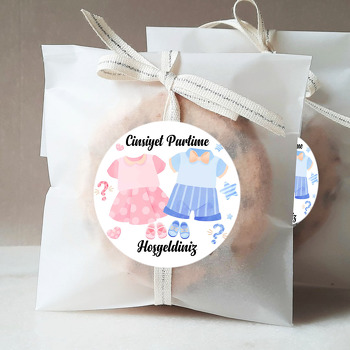 Pembe Elbise ile Bebek Mavi Takım Cinsiyet Partisi Temalı Sticker