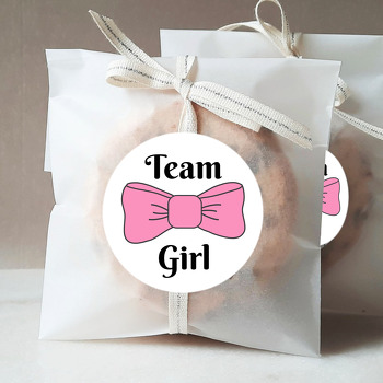Pembe Kurdele ile Cinsiyet Partisi Temalı Sticker