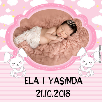 Pembe Tavşan  Temalı Kare Parti Afiş