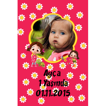 Pemle Fonlu Plastik Magnet