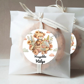 Pilot Kız Ayıcık Temalı Doğum Günü Sticker