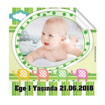 Renkli Filler Temalı Doğum Günü  Kare Etiket