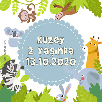 Safari 4 Kare Parti Afiş