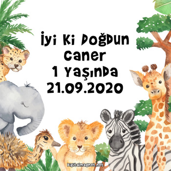 Safari Kare Parti Afiş