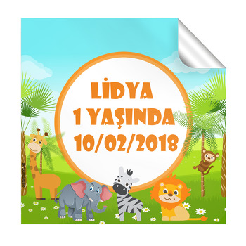 Safari Temalı Doğum Günü  Kare Sticker