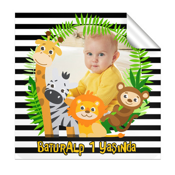 Safari Temalı Doğum Günü  Kare Yapışkanlı Sticker