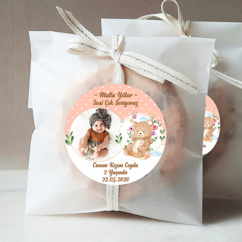 Salıncakta Ayıcık Temalı Resimli Sticker