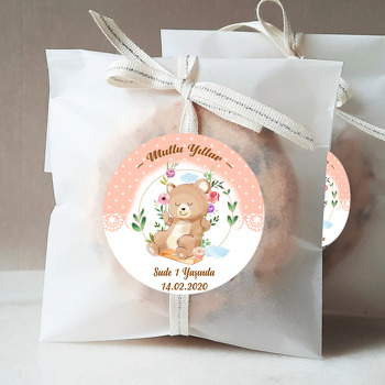 Salıncakta Ayıcık Temalı Sticker