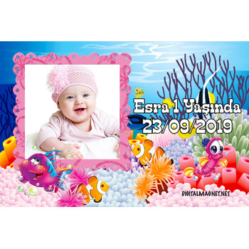 Sevimli Deniz Canlıları Temalı Doğum Günü Plastik Magnet