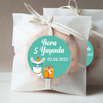 Sevimli Lama Partide Temalı Sticker