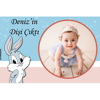 Sevimli Tavşan Temalı Plastik Magnet