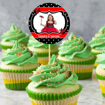 Sevimli Uğur Böceği Temalı Resimli Kürdan Süs