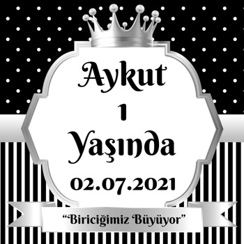 Siyah Beyaz Puantiye ile Gümüş Çerçeve Temalı Kare Doğum Günü Parti Afiş