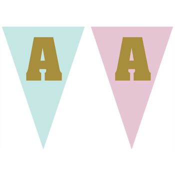 Soft Mavi ile Pembe Temalı Parti Banner